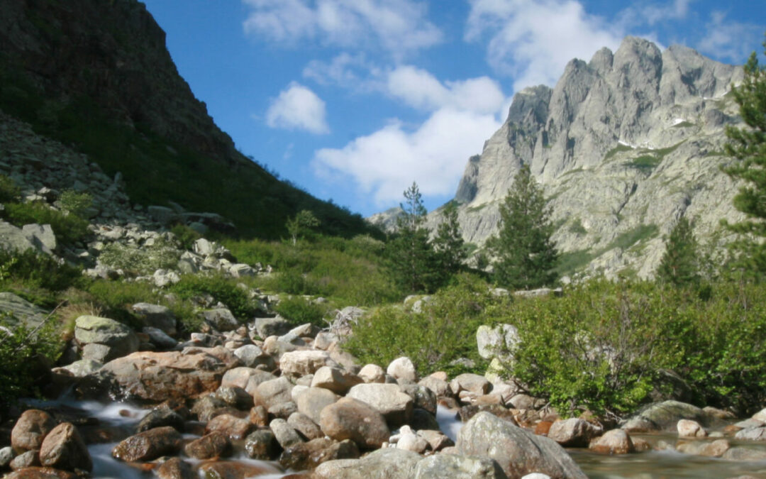 La vallée de la Restonica 
