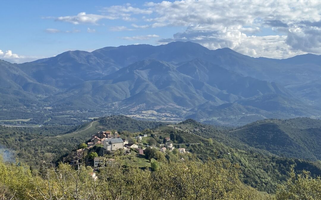 Poggio-di-Venaco – U Poghju di Venacu