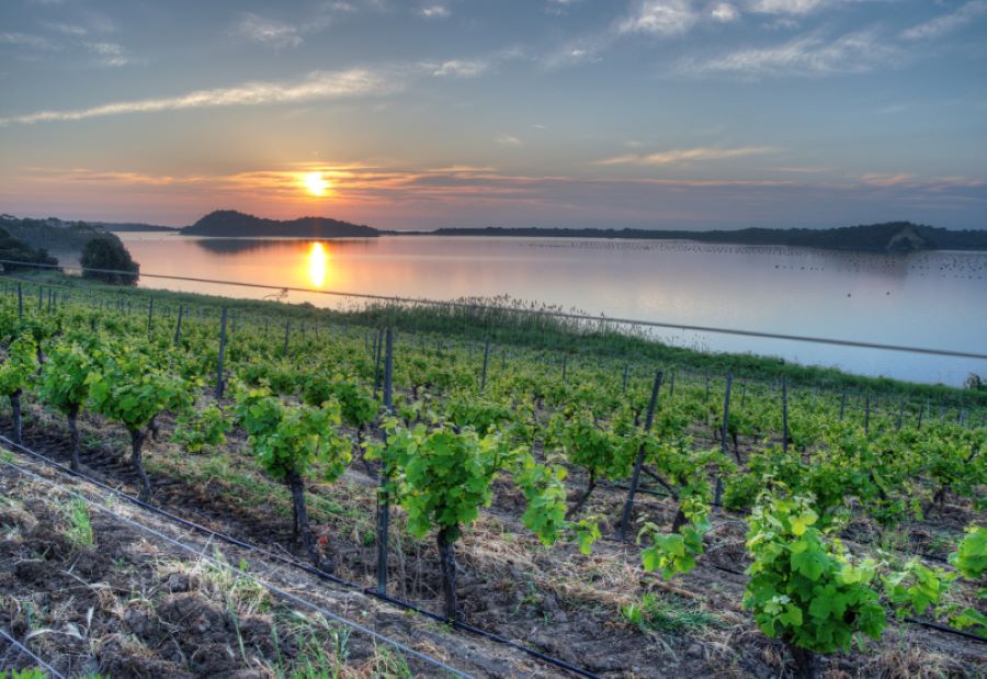 DOMAINE TERRA VECCHIA – CLOS POGGIALE