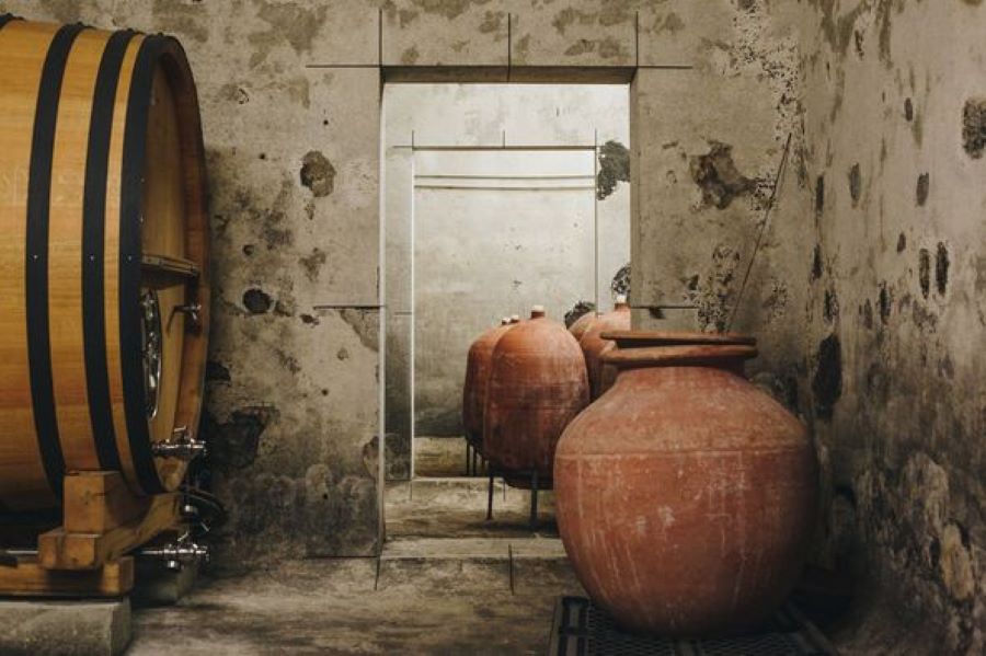 CLOS CANERECCIA